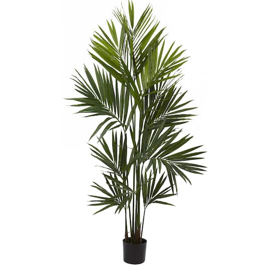 7ft. Potted Kentia Palm Silk Tree